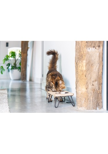 Beeztees Dbl Kedi İkili Mama Ve Su Kabı, Paslanmaz Çelik, Beyaz, 31x16x10cm, 2x350ml