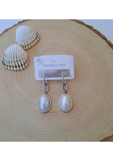 Sedef Taş Detaylı Sallantılı Çelik Küpe Gümüş