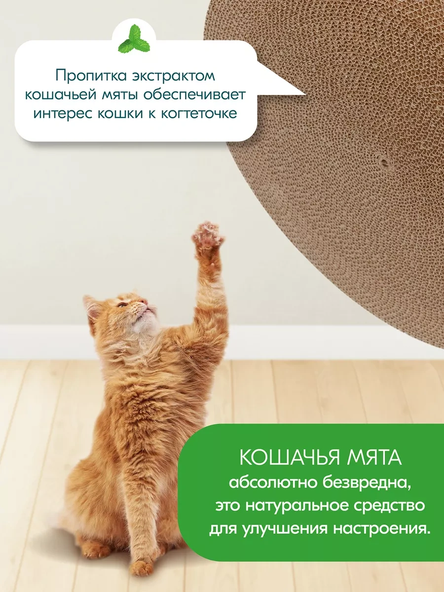 Pettails Karton Oluklu Mukavva İle Emprenye Edilmiş Kedi Tırmalama Tahtası 160445076