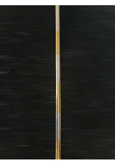 Kesebe Altın Sarısı Ve Gümüş Renk Karışık Alacalı Unisex Kolye - 60 Cm Çok Renkli