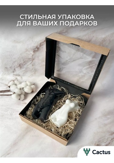 Cactus Pencereli Kraft Kutu 215129698 100 adet