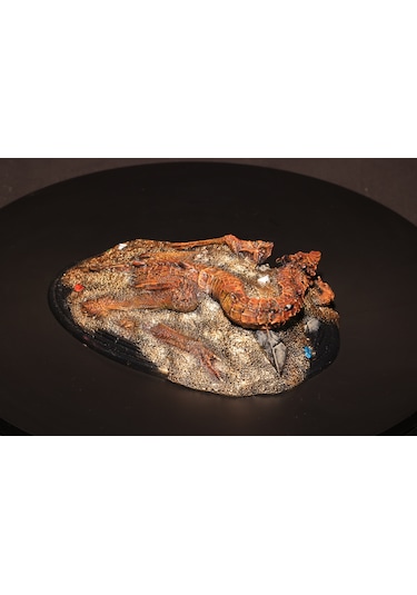 Lord Of The Rings - Hobbit Smaug Büst
