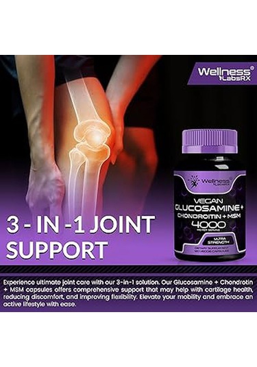 Wellnees Labs Glucosamine + Chondroitin + Msm 4000 120 Kapsül