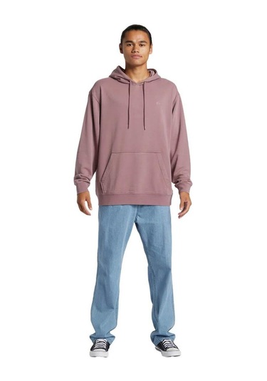 Quiksilver Salt Water Hoodie Erkek Sweatshirt Mor