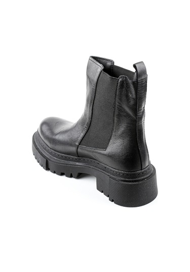 Dexter Tp22515-1 Renkli