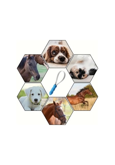 Elmpaly Mavi 2 Taraflı Evcil Hayvan Tüy Fırçası: Kedi Köpek At Taranması, Sağlıklı Tüy