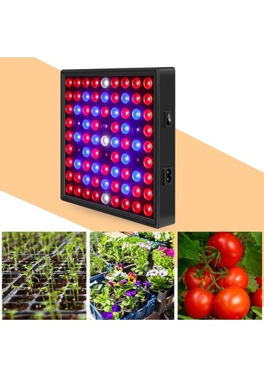 Fortunelane 81 Led'li Bitki Işığı - Mekan Fide Yetiştirme Işığı Avrupa Standartı Diğer