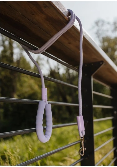 Freedsy Köpekler İçin 2,5 Metre Naylon Tasma 437113521 Lavanta