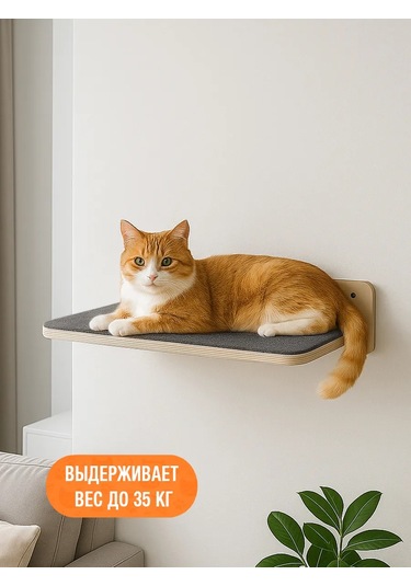 Go Cats Duvara Montajlı Kedi Yatağı Rafı 388214107