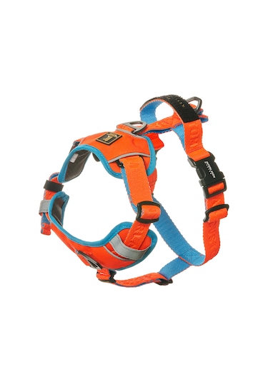 Interlaken H Koşum Takımı Ped Tipi Turuncu Mavi Göğüs Tasması M Mavi - Turuncu