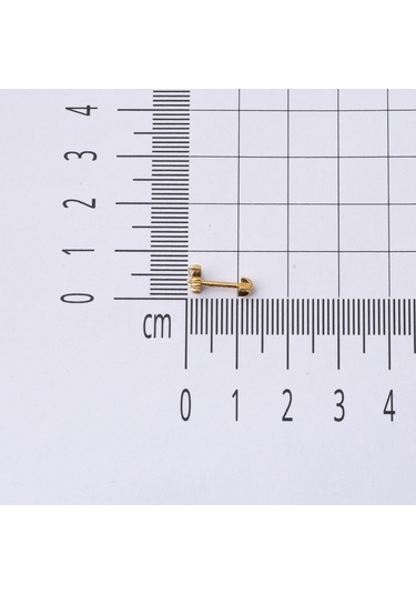 Bilezikci  14 Ayar Altın Kırmızı Tragus Küpe Kphsy14k22489 Sarı