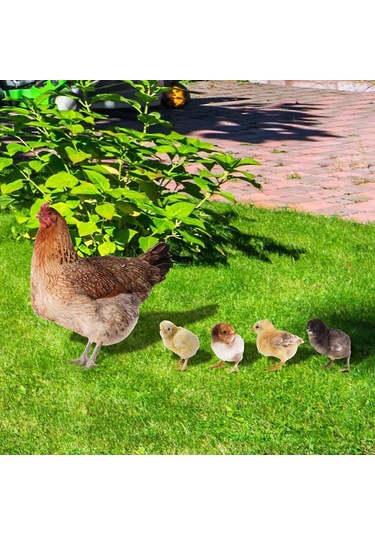 Qingmipy Bahçe Dekorasyonu Piliç Şekilli Akrilik Toprak Takımı - Dış Mekan Bahçe Zemin Süs Yklu076
