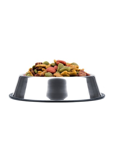 Noyiska Paslanmaz Çelik Metal Kedi Köpek Mama ve Su Kabı