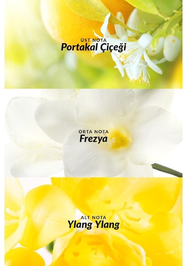 Avon Tta Today Kadın Parfüm EDP 10 ML