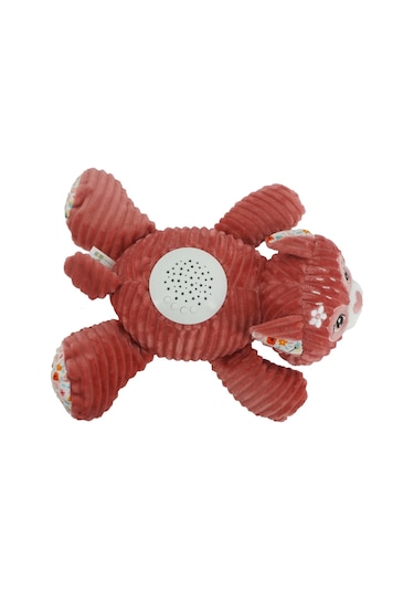 Prego Müzikli ve Gece Işıklı Ceylan P210622