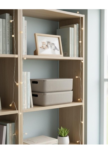 Okyanus Home Linea Smart Box Vizon 4,5 Lt 2 Adet Kapaklı Çok Amaçlı Saklama Kutusu Kahverengi