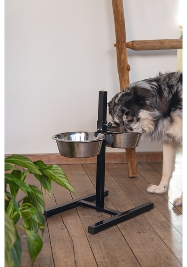 Beeztees Köpek İkili Mama Su Kabı, Ayaklı, Paslamaz Çelik, 25cm, 2x2,5l