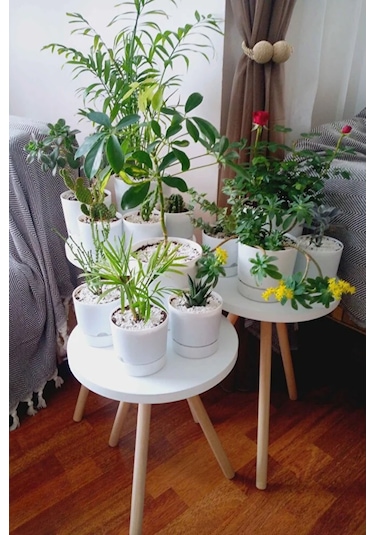 3'lü Zigon Sehpa Seti Saksılık Ve Çiçeklik Standı, Dekoratif Yan Sehpa Ahşap Ayaklı 33 Cm Çap - Beyaz Beyaz