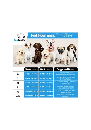 Honeybeeshop Kişiselleştirilebilir Papatya Desenli Polyester Köpek Yeleği Ivory White Xl Eğitim Ve Gezinti İçin Çekmeyi Önleyen Tasarım İsim Ve Telefon Numarası Eklenebilir Sadece Elde Yıkanır Altın