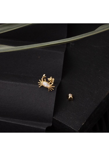 Bilezikci  14 Ayar Altın Yengeç Tragus Küpe Kphsy14k22508