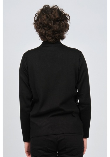 Çizgi Triko Erkek Yarım Balıkçı Yaka Desenli Kazak 42564225 Siyah Siyah