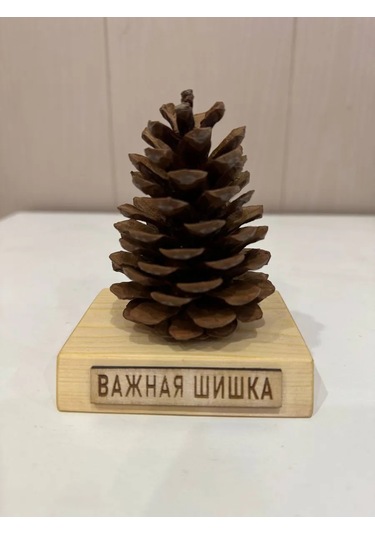 Önemli Kozalak Harika Bir Hediye 434827979