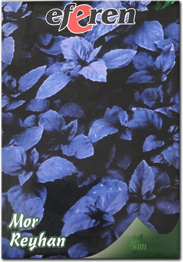 Bykurt Sunagri Mor Reyhan Tohumu - Aromatik Mor Renkli Bahçeler İçin Çekici Ve Lezzetli Mor Reyhan Tohumu