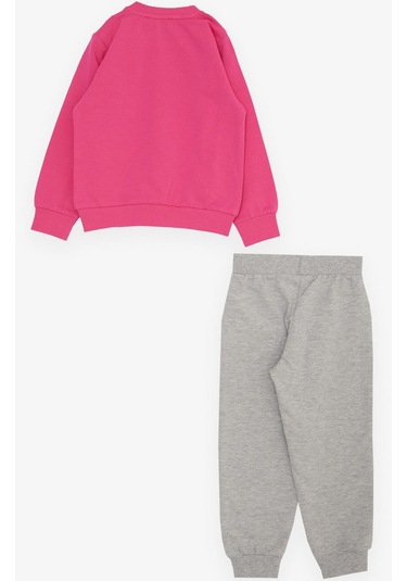 Breeze Kız Çocuk Eşofman Takım Çiçek Temalı Tavşancık Nakışlı 1-4 Yaş, Fuşya-fuşya Fuşya