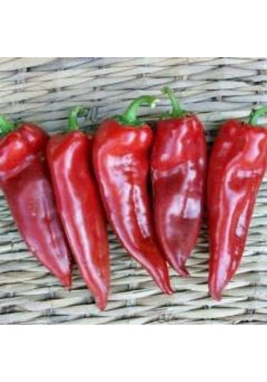 Közlemelik Kırmızı Biber Tohumu Tatlı Biber Tohumu 40 Tohum