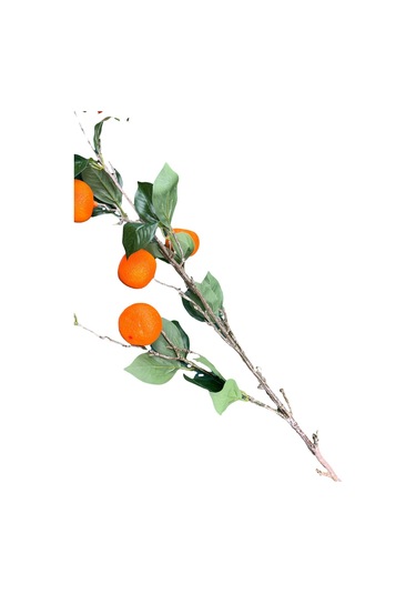 Yapay Mandalina Dalı Turuncu