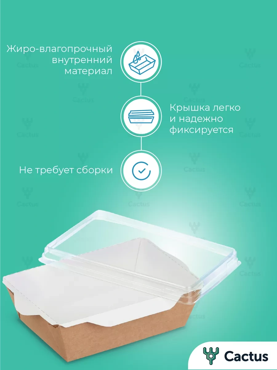 Cactus Tek Kullanımlık Trifle Kutuları, 800 Ml Gıda Kapları 19075641 100 adet