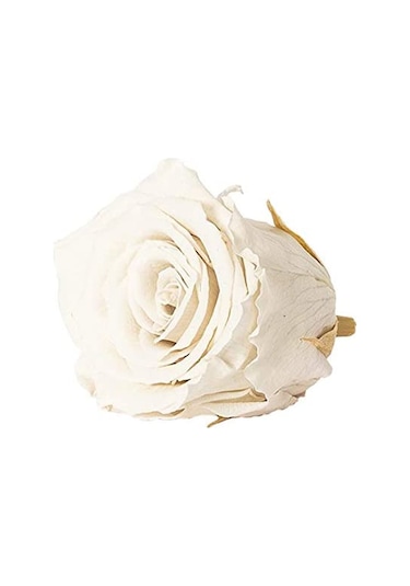 Rose Amor WHİ-04 BEYAZ  şoklanmış solmaz gül XL