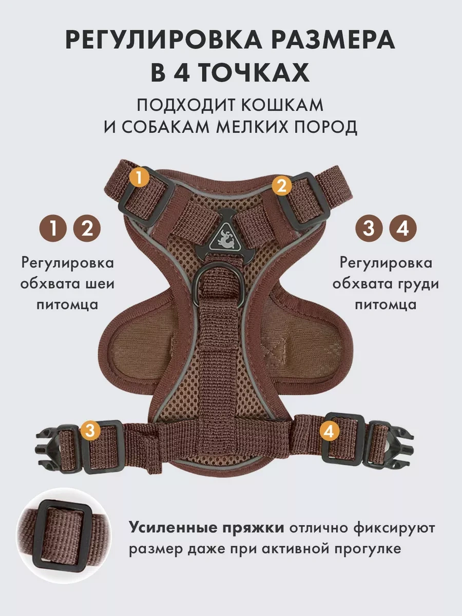 Purrfect Place Köpekler Ve Kedi İçin Tasma Şeritli Tasma 253725673