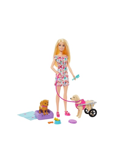 Nessiworld Htk37 Barbie Ve Engelli Köpeği Oyun Seti-39254