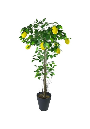 Yapay Limon Ağacı 130Cm 8 Limonlu Doğal Görünümlü Siyah Plastik S