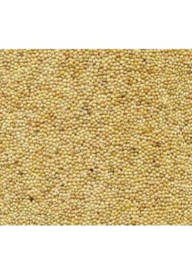 Mezbi Muhabbet Kuşu Yemi Ak Darı 5 KG