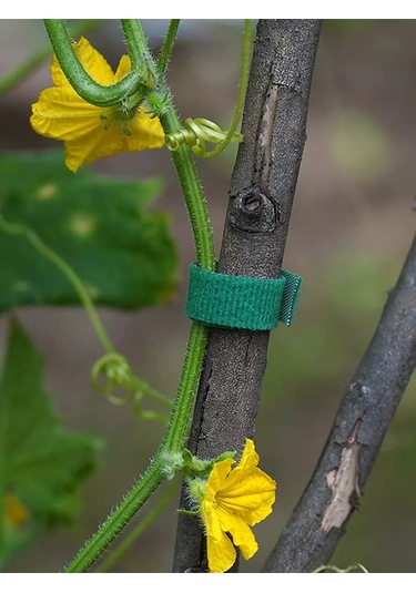 Rudom Bitki Bağlama İçin Bahçe Cırt Cırt Bant 229182420