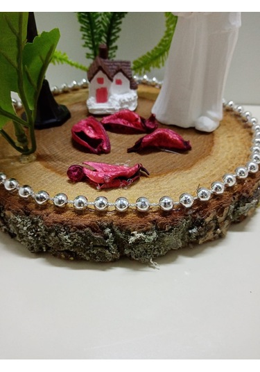 Sarılan Çift Temalı Kütük Teraryum