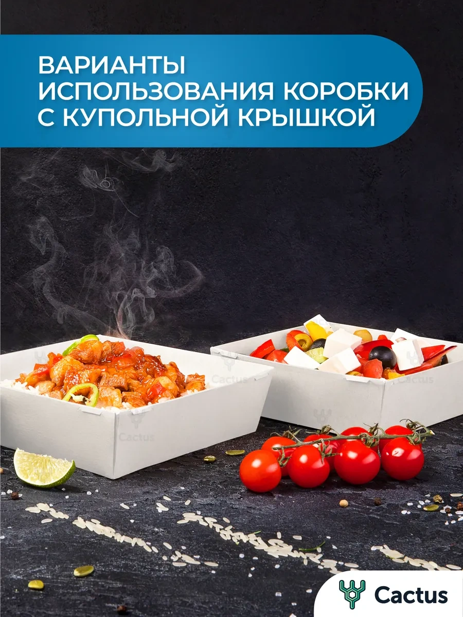 Cactus Bento Kutu 900 Ml 14 Cm Pasta Kutusu 296721028 100 adet