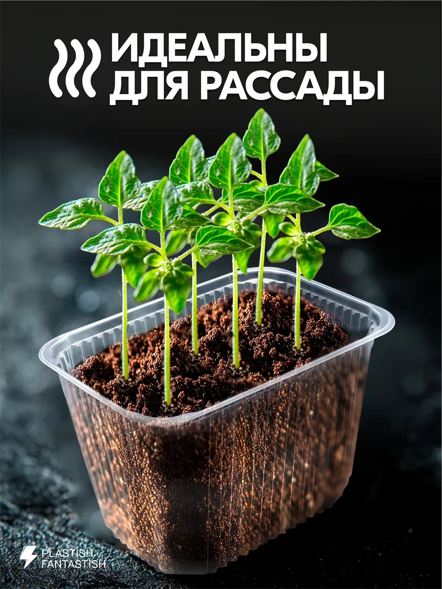 Plastish Fantastish Yiyecek İçin Kapaklı Tek Kullanımlık Kaplar 2000 Ml 30 Adet 162972405 30