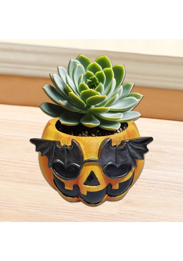 Suntek Kabak Saksı Hediye Dekorasyon Süsler Ev Mutfak Stil-a