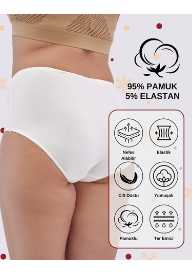 Alya Underwear Kadın Büyük Beden Külot Battal Full Brief, Yüksek Bel 5xl, 6xl, 7xl 5 Farklı Renk 1 Pakette Çok Renkli P41