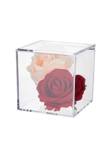 Şeffaf Akrilik Kutular Kapaklı Küçük Kare Küp Kaplar Plastik Saklama Düzenleyici Şeffaf