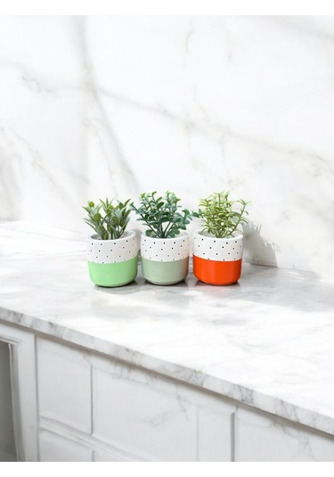 Renkli Saksı Seti Sukulent Kaktüs Dekoratif Eşya- Ev Dekorasyon - Saksı Seti 5
