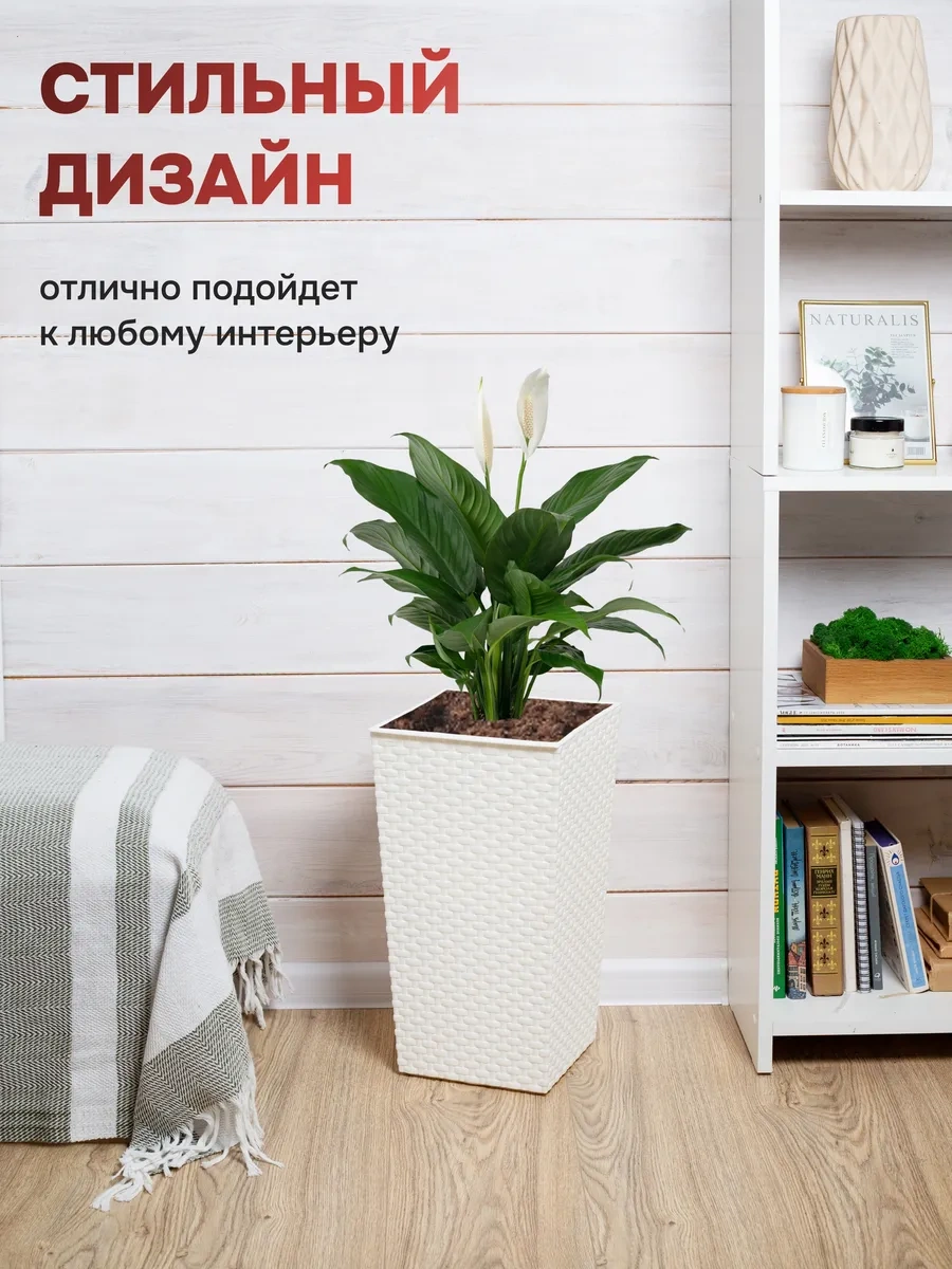 Crafy Çiçek Saksısı Yer Tipi 273518379