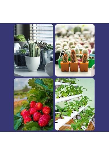 Reedark İç Mekan Bitkiler İçin Led Grow Ampul Kırmızı Mavi Beyaz