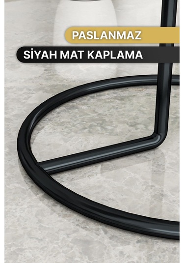 Peçetelik Rulo Havluluk Mat Siyah Kaplama Paslanmaz Dolu Çelik Havlu Peçetelik, Metal Havluluk