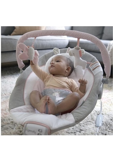 Ingenuity Titreşimli, Oyuncak Barlı Ve Sesli, 0-6 Ay Ana Kucağı Pink
