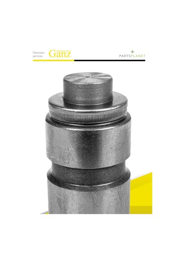 Ganz Ford Fiesta, Escort, Chery Amulet İçin Su Emici Valf 271179666