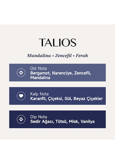 Mad Talios 100 Ml Erkek Parfüm Narenciye